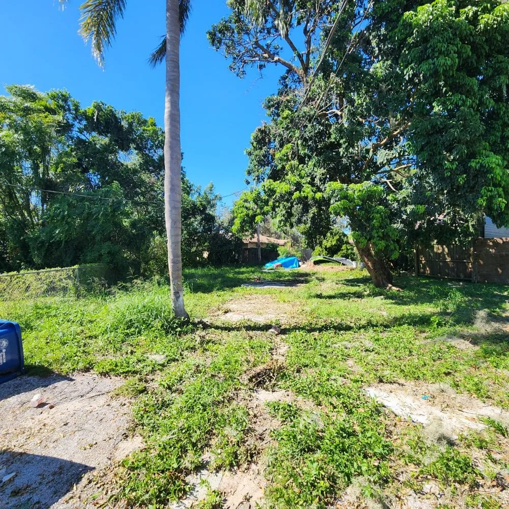 Local lawn care service for residential properties across Lakeland, FL - Landscaping Kingz