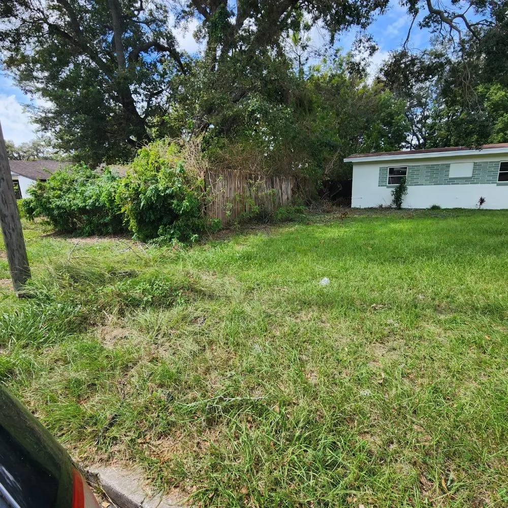 Trusted landscaping services experts serving Lakeland, FL - Landscaping Kingz