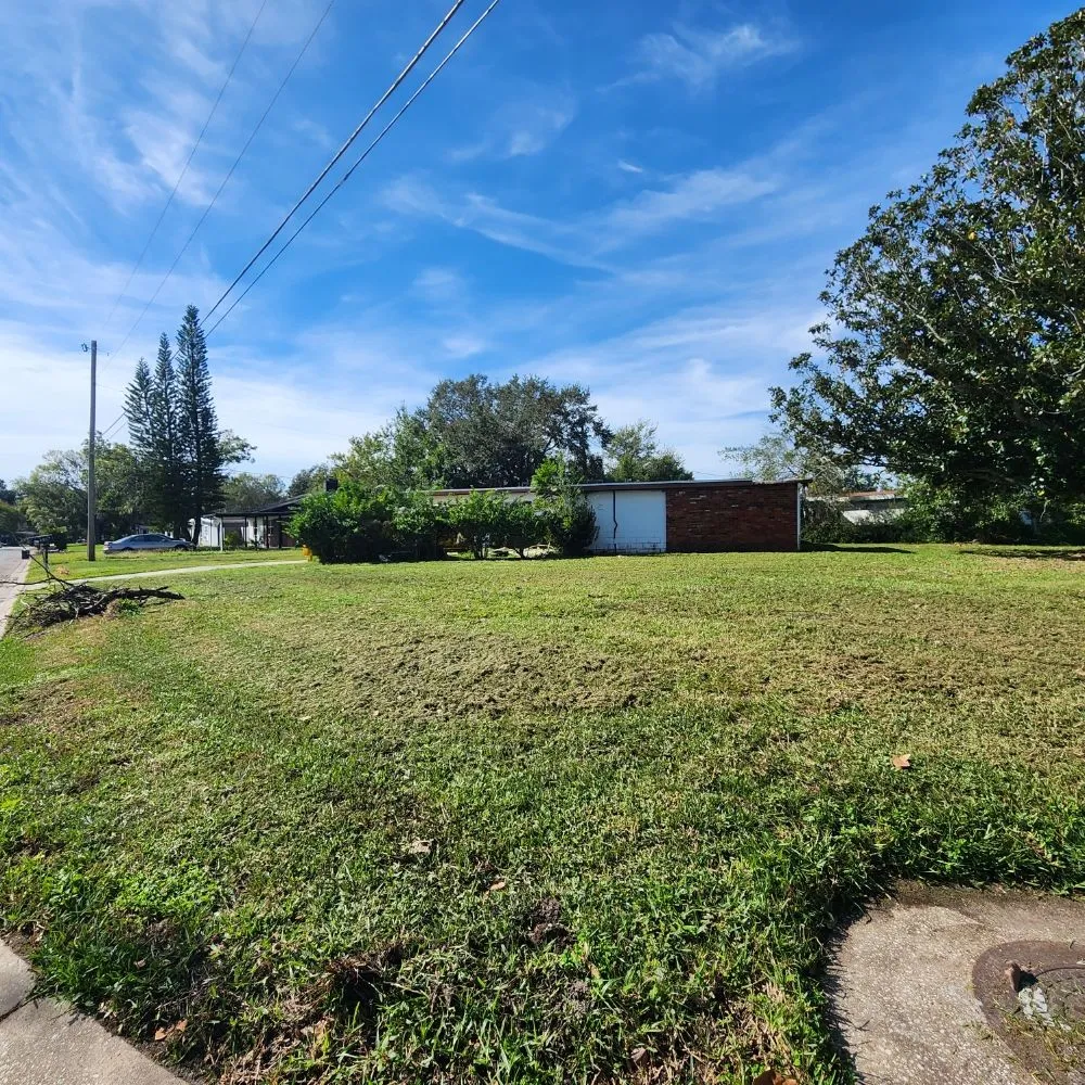 Local lawn care service with custom design in Lakeland, FL by Landscaping Kingz