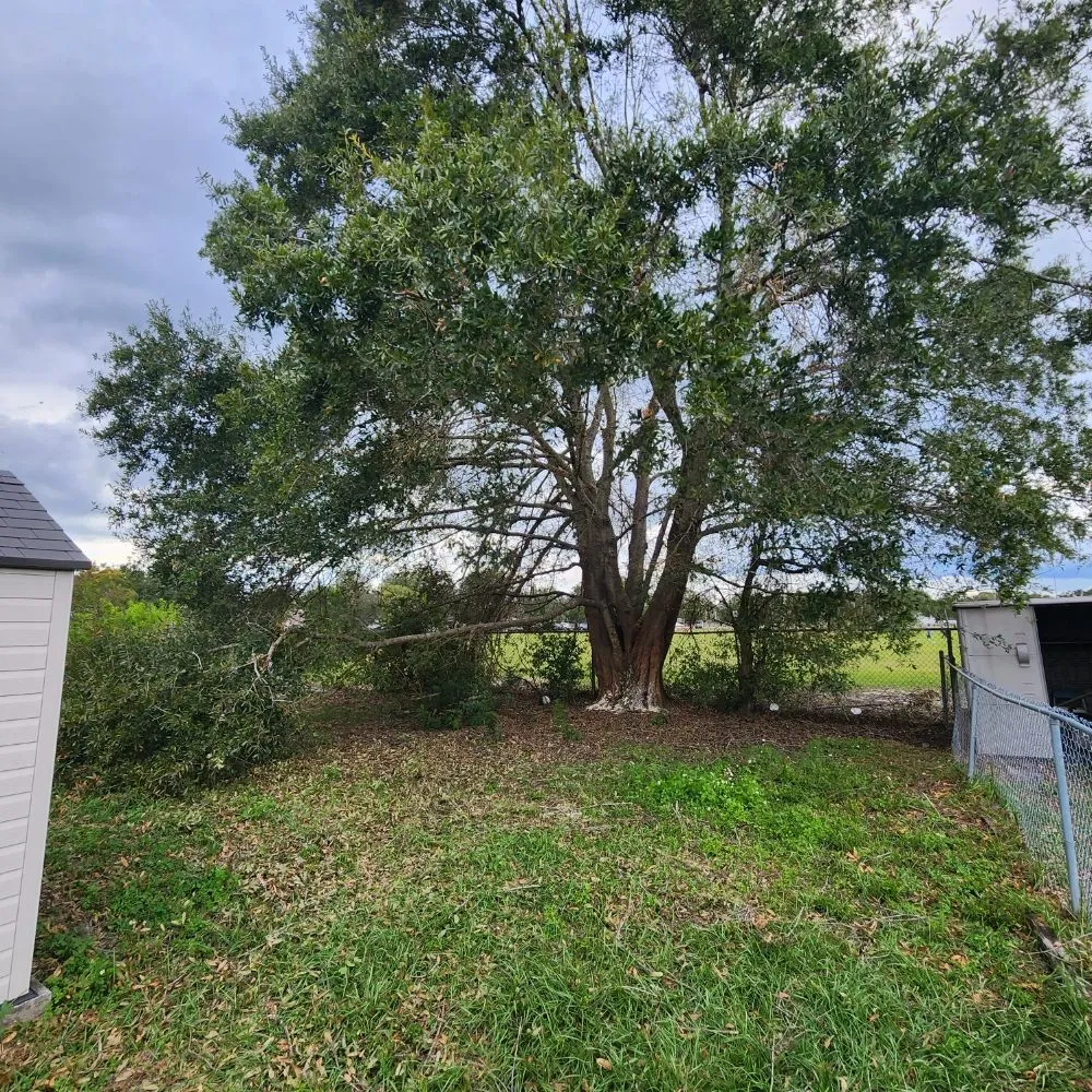 Local outdoor landscaping for residential properties across Lakeland, FL - Landscaping Kingz