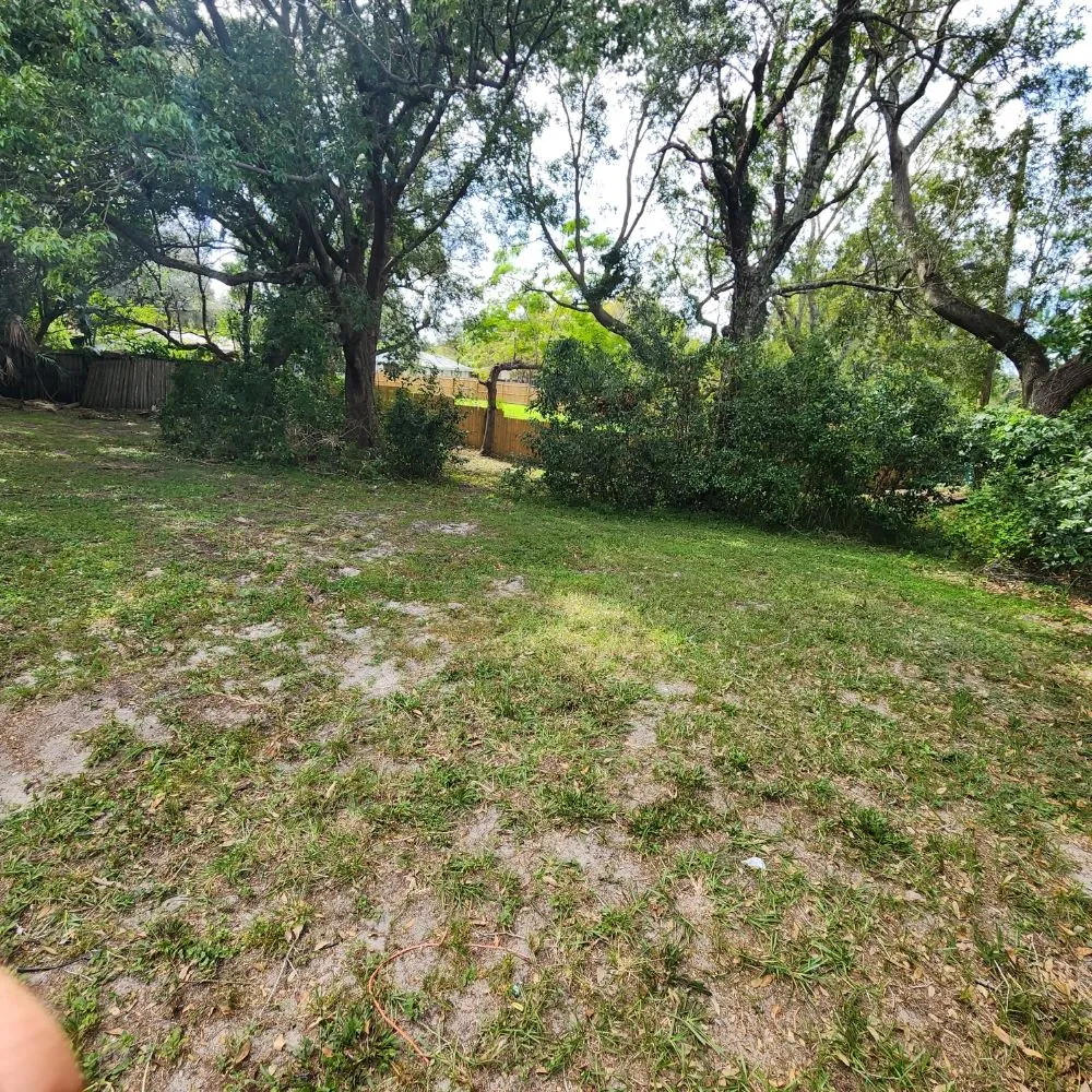 Top-rated landscape installation in Lakeland, FL - Landscaping Kingz