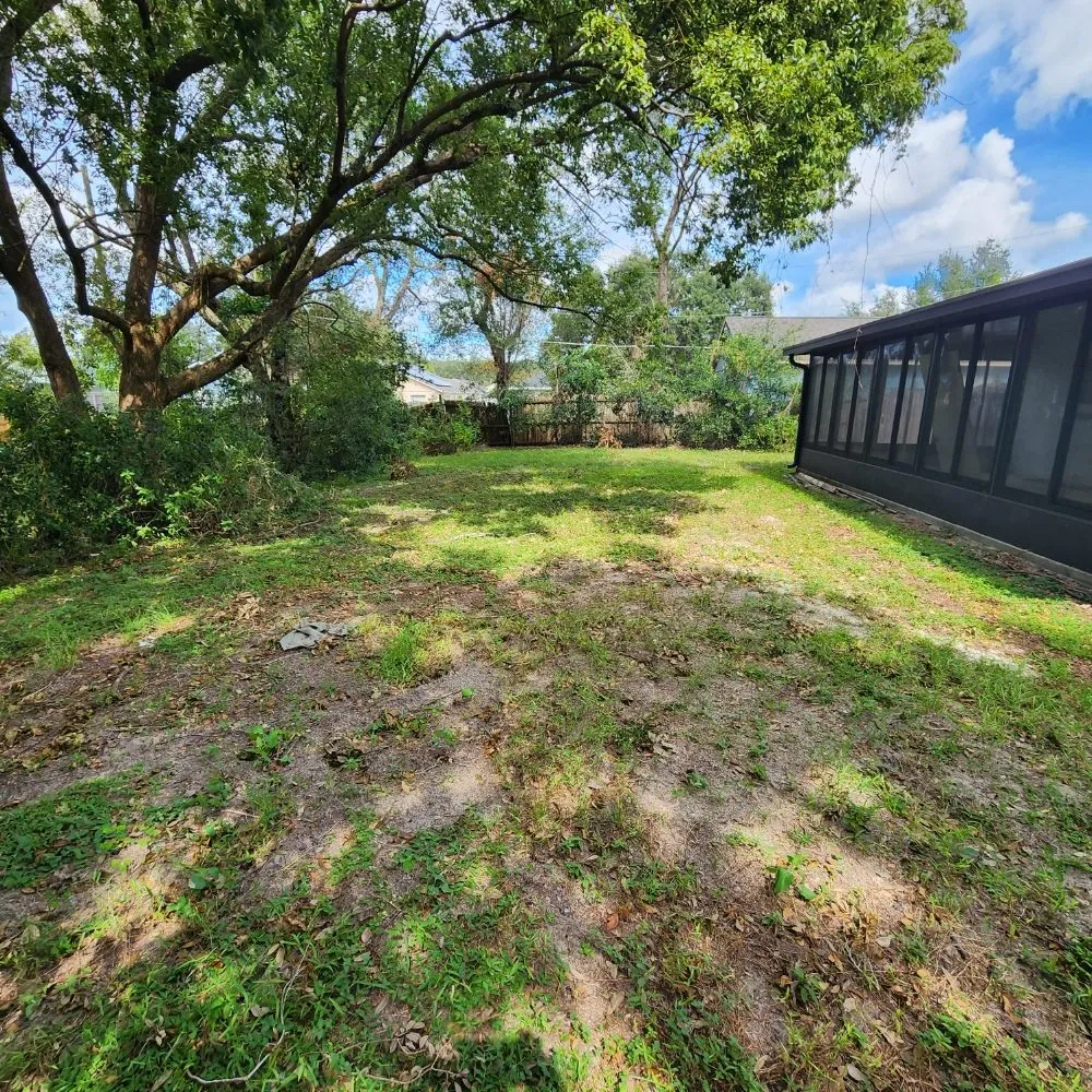 Top-rated garden landscaping experts serving Lakeland, FL - Landscaping Kingz