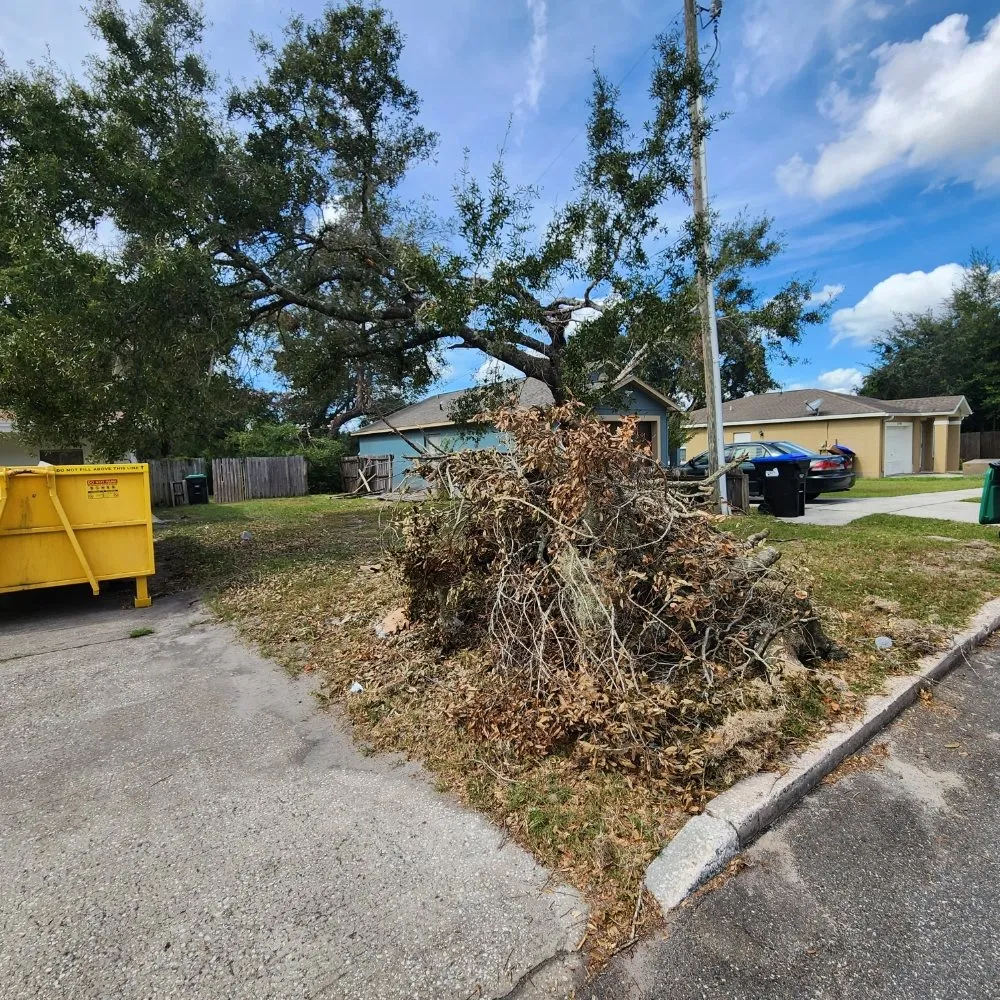 Trusted landscaping services in Lakeland, FL by Landscaping Kingz