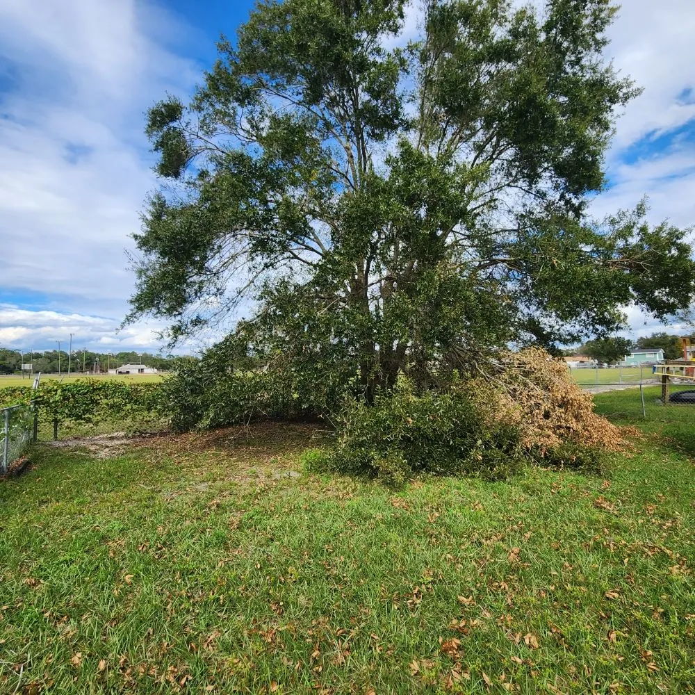 Top-rated garden landscaping near you across Lakeland, FL - Landscaping Kingz