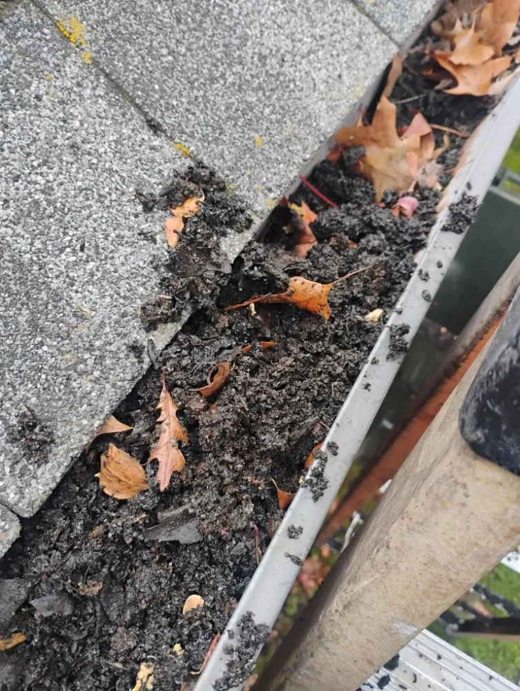 Custom lawn mowing service in Sacramento, CA - Landscaping La Villa