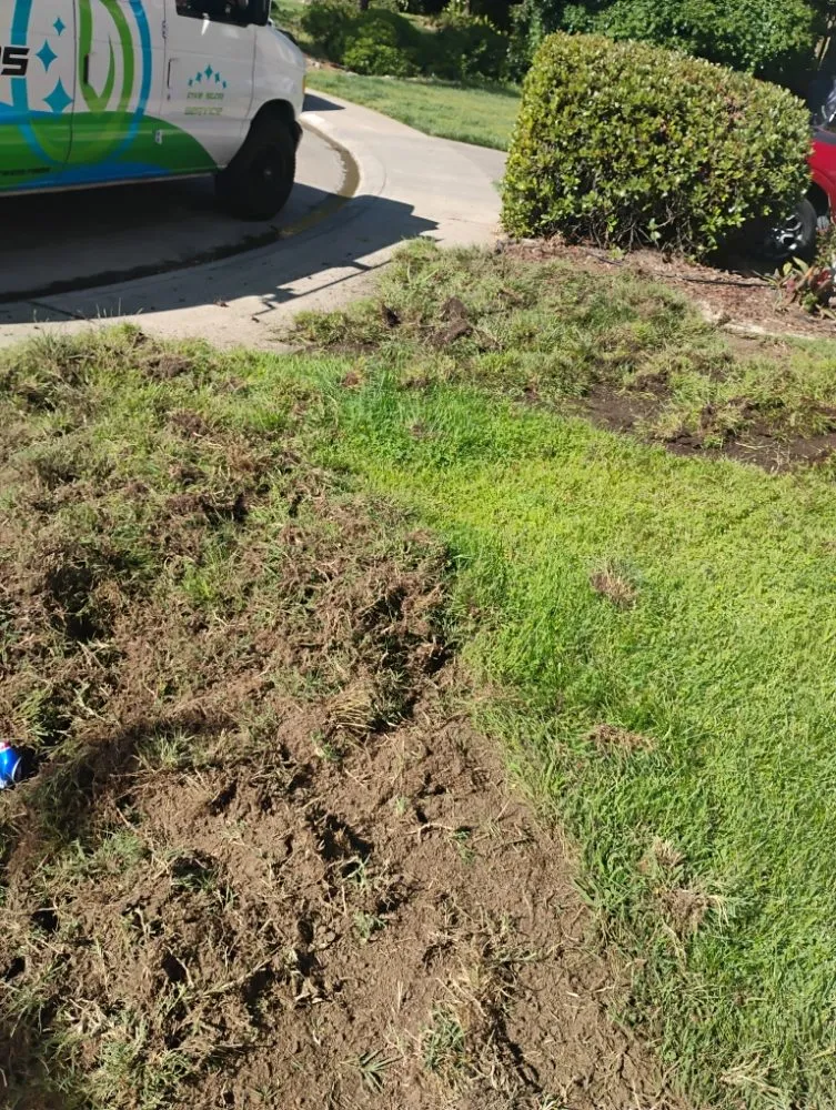 Trusted landscape design experts serving Sacramento, CA - Landscaping La Villa