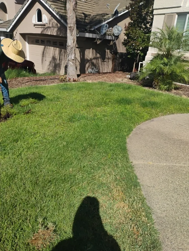 Custom landscaping services in Sacramento, CA - Landscaping La Villa