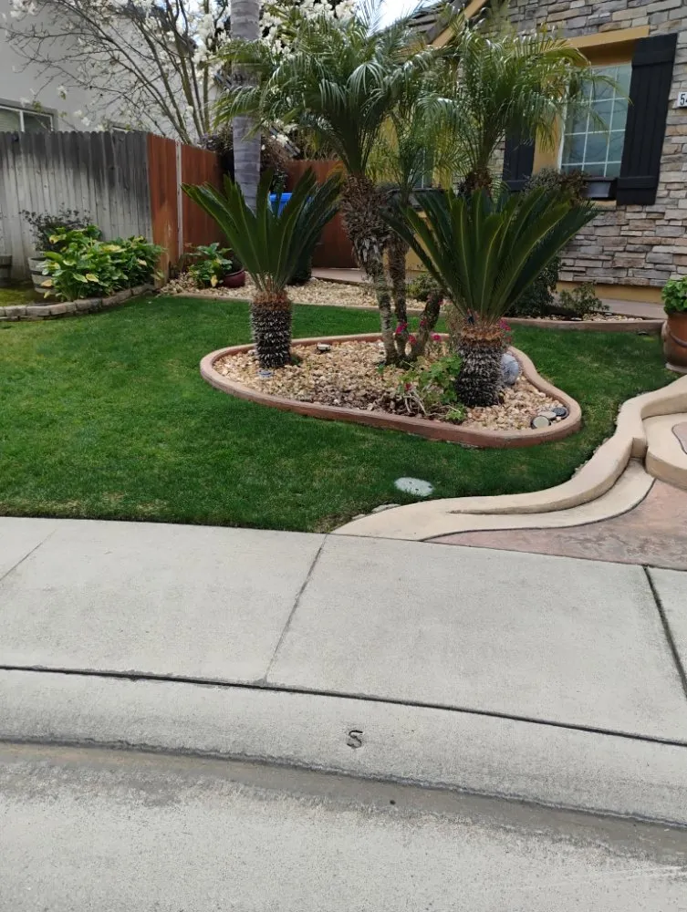 Trusted yard cleanup service experts serving Sacramento, CA - Landscaping La Villa
