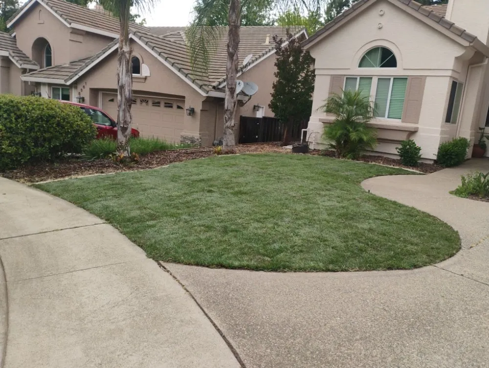 Custom lawn mowing service for residential properties across Sacramento, CA - Landscaping La Villa