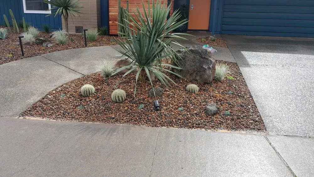 Expert garden landscaping for year-round maintenance in Sacramento, CA by Landscaping La Villa