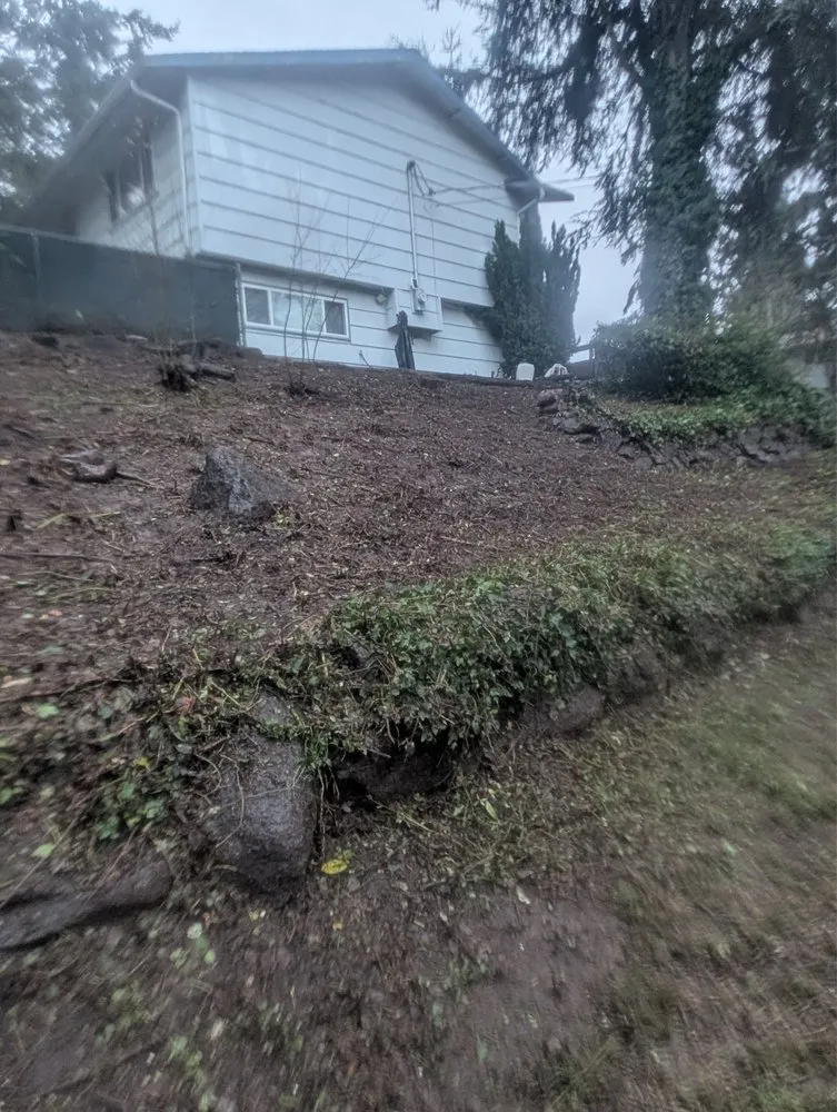 Professional yard maintenance in Auburn, WA - Landscaping Landin