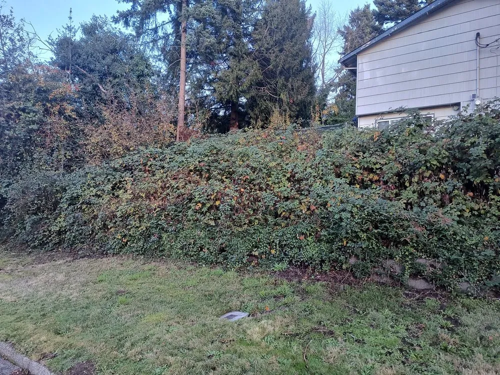 Expert lawn mowing service in Auburn, WA - Landscaping Landin