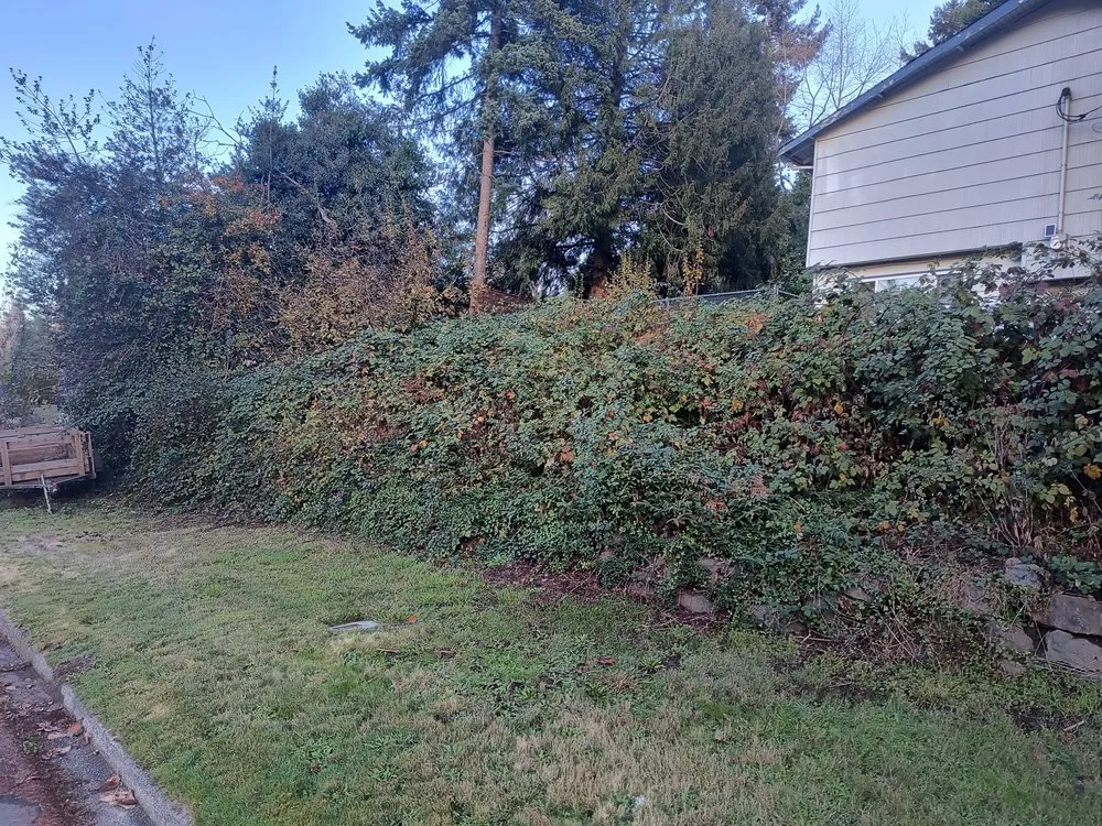 Expert lawn mowing service for outdoor upgrades across Auburn, WA - Landscaping Landin