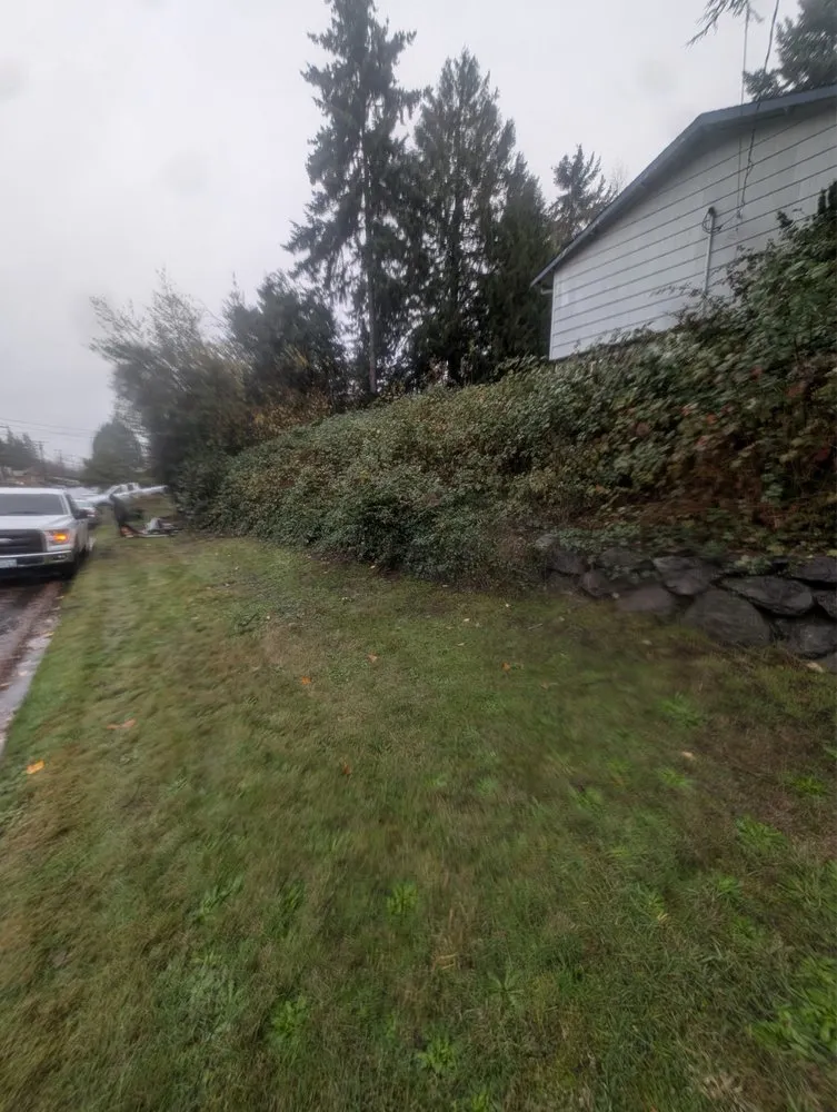 Reliable yard maintenance for homes across Auburn, WA - Landscaping Landin