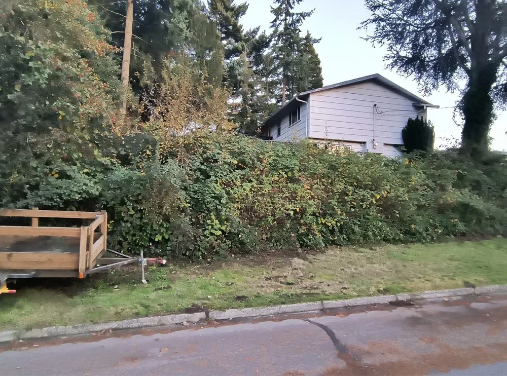 Local outdoor landscaping for residential properties in Auburn, WA by Landscaping Landin