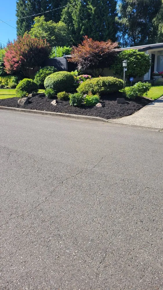 Professional landscaping services for year-round maintenance across Auburn, WA - Landscaping Landin