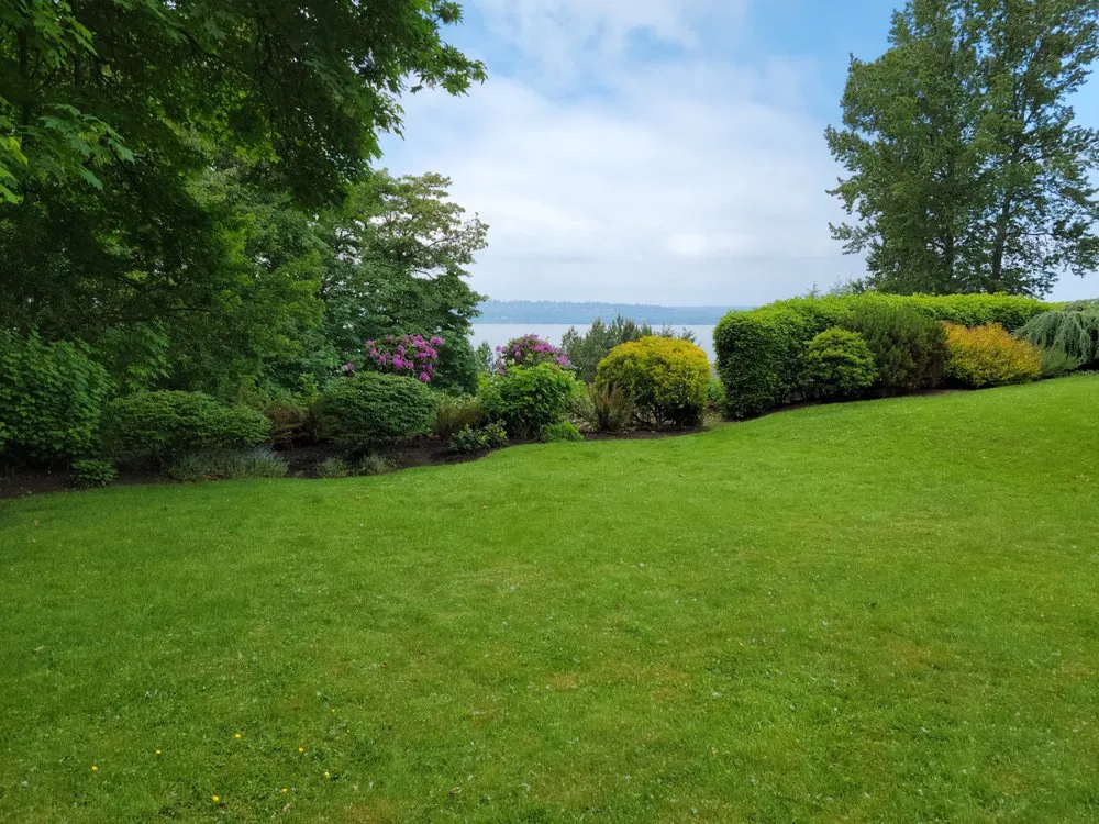 Expert yard maintenance in Auburn, WA by Landscaping Landin