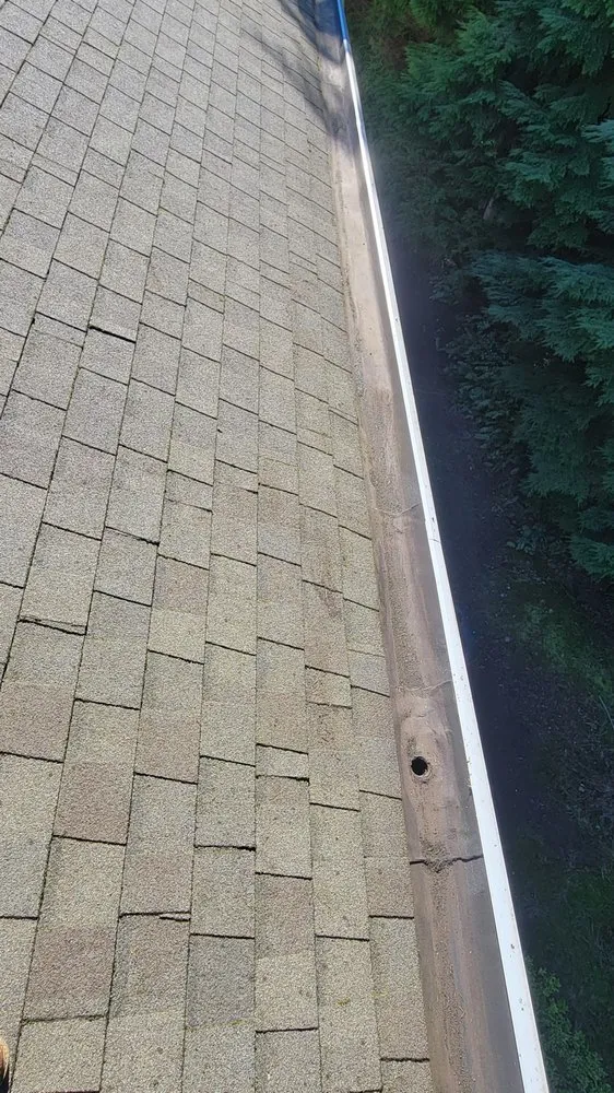 Expert yard cleanup service for beautiful yards across Auburn, WA - Landscaping Landin