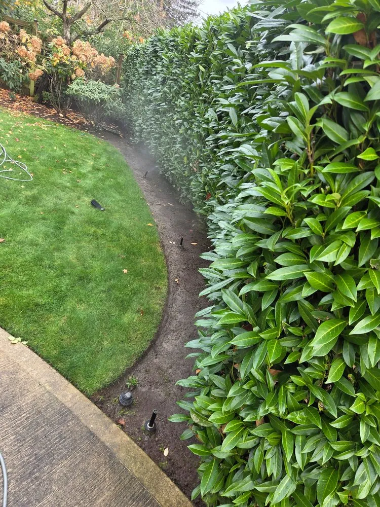 Local yard cleanup service for year-round maintenance across Auburn, WA - Landscaping Landin