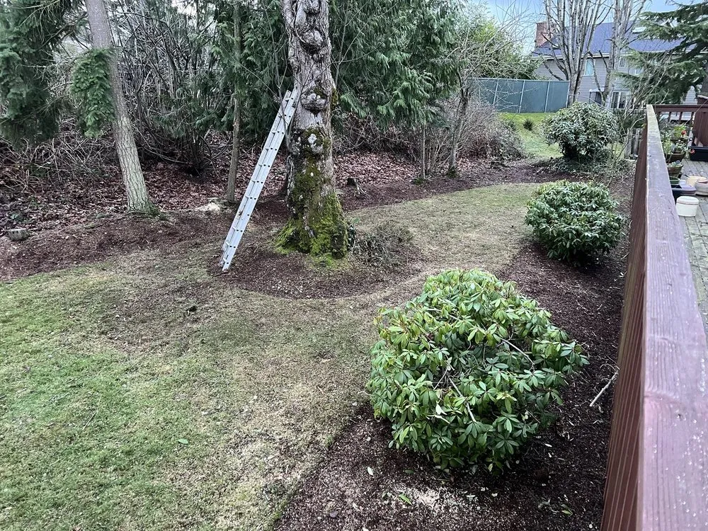 Top-rated lawn care service in Auburn, WA - Landscaping Landin