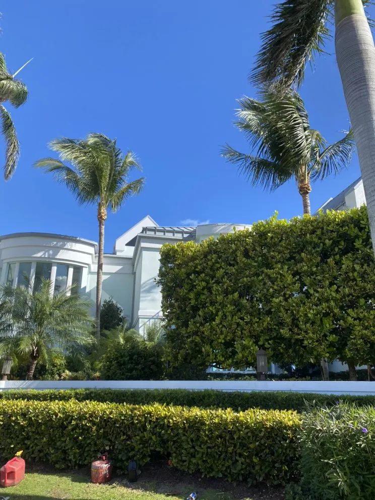 Professional landscaping services experts serving West Palm Beach, FL - Landscaping Lawn Care Trimming Tree Palm Coconut