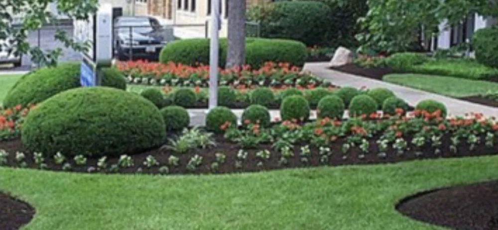 Expert lawn care service for homes across McHenry, IL - Landscaping Lawn Maintenance Plus