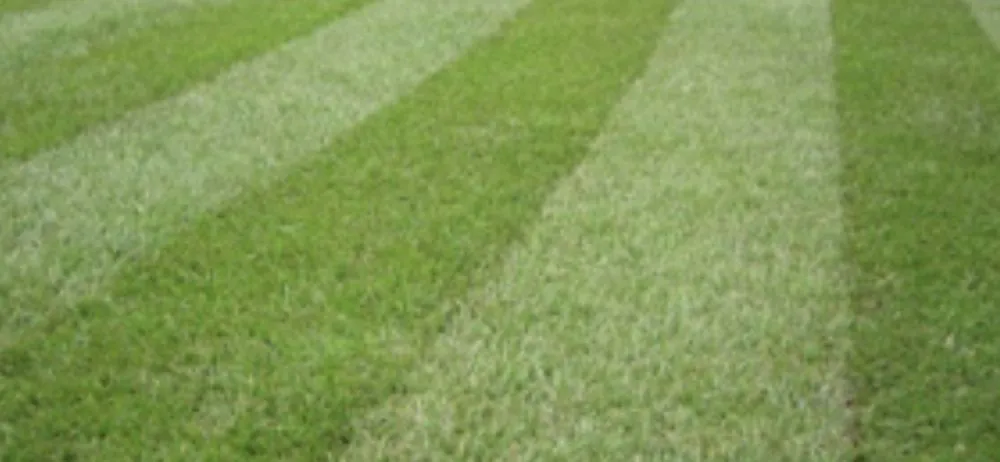 Reliable yard maintenance for outdoor upgrades across McHenry, IL - Landscaping Lawn Maintenance Plus