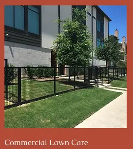 Expert yard cleanup service for year-round maintenance in Anna, TX by Landscaping Lawn Services