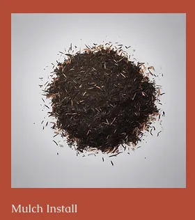 Expert landscaping services for homes in Anna, TX by Landscaping Lawn Services