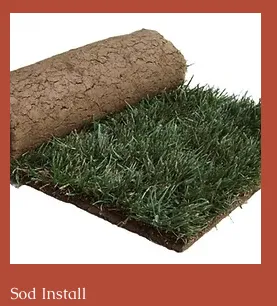 Reliable residential landscaping experts serving Anna, TX - Landscaping Lawn Services