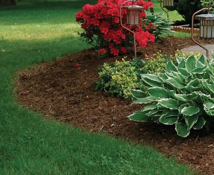 Reliable landscape design in Anna, TX - Landscaping Lawn Services