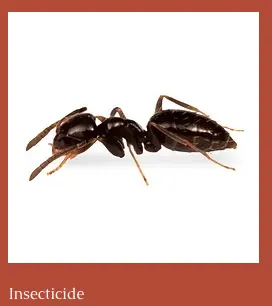 Trusted outdoor landscaping in Anna, TX - Landscaping Lawn Services