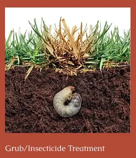 Trusted landscape installation in Anna, TX by Landscaping Lawn Services