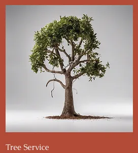 Local lawn mowing service in Anna, TX by Landscaping Lawn Services