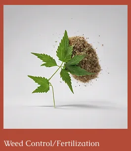 Top-rated residential landscaping experts serving Anna, TX - Landscaping Lawn Services