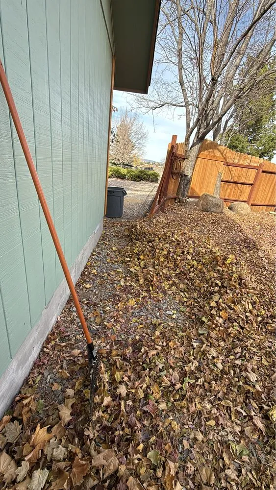 Top-rated lawn care service in Carson City, NV by Landscaping Leo