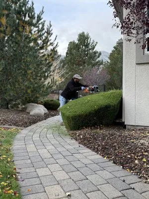 Landscaping Leo Logo