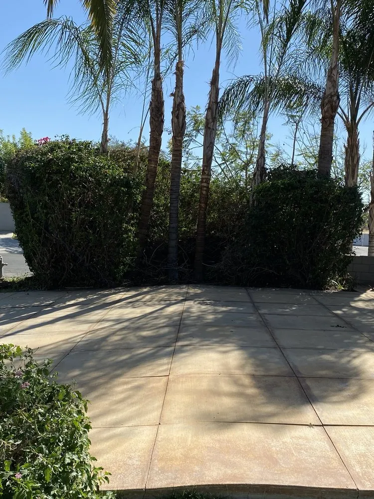 Affordable landscaping services in Bakersfield, CA - Landscaping Lisandro