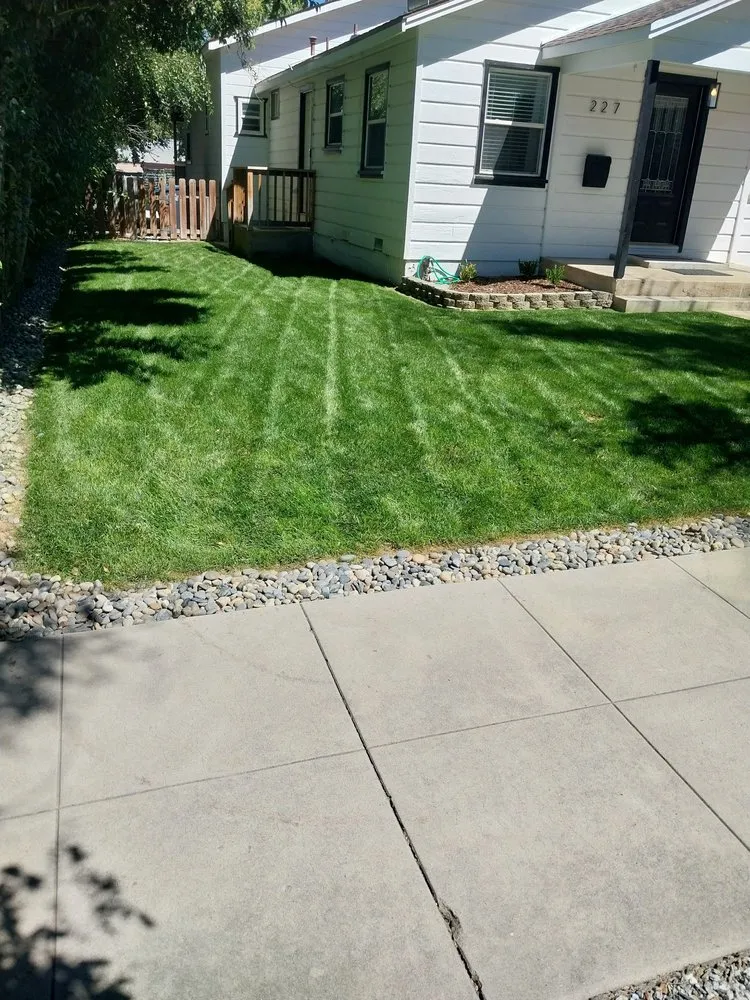 Local landscape design for year-round maintenance in Bakersfield, CA by Landscaping Lisandro