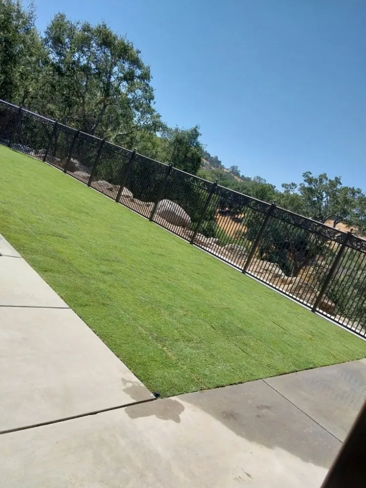 Top-rated outdoor landscaping for year-round maintenance in Bakersfield, CA by Landscaping Lisandro