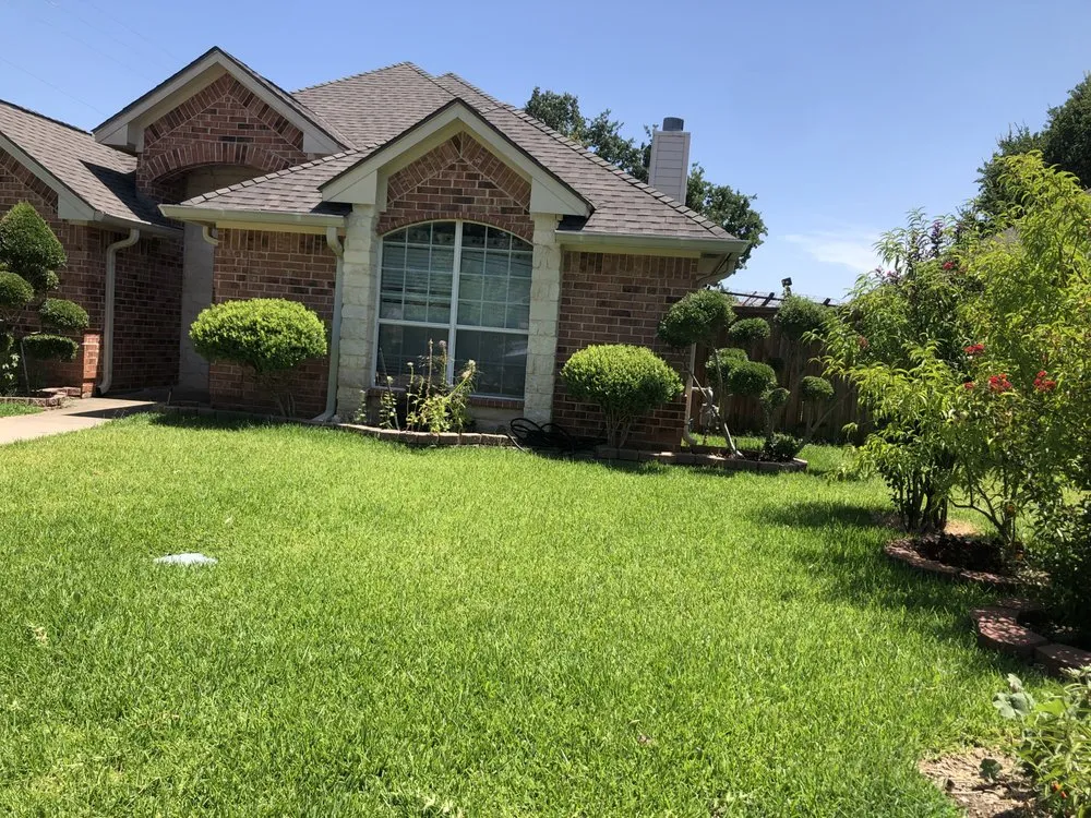 Local lawn care service experts serving Dallas, TX - Landscaping Lopez