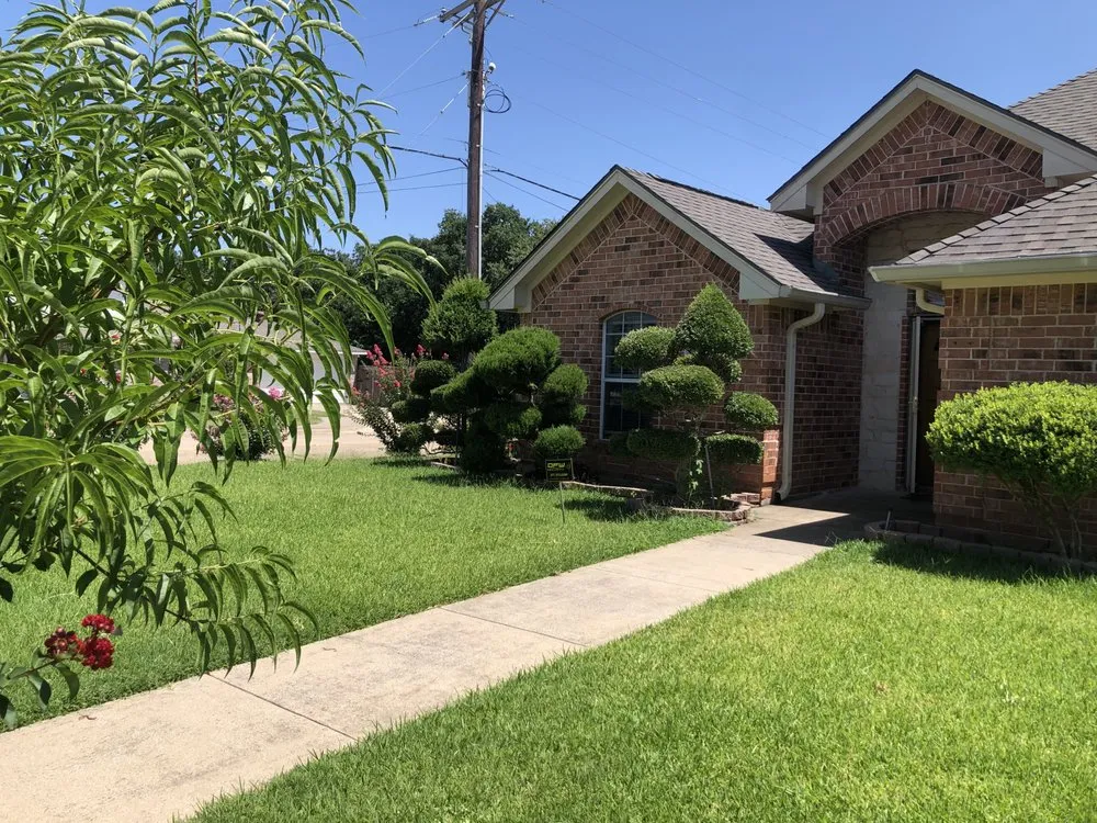 Affordable garden landscaping in Dallas, TX - Landscaping Lopez