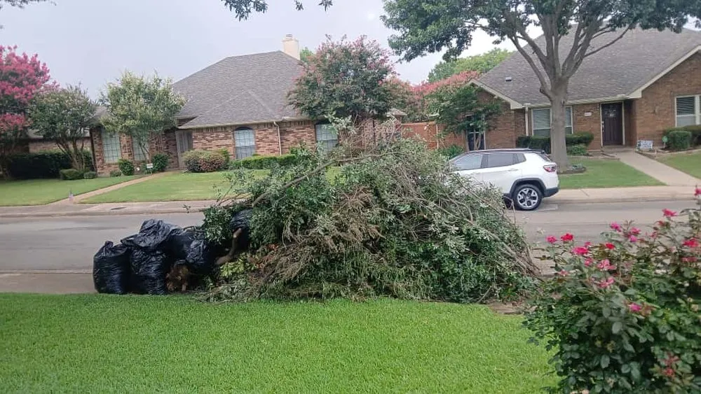 Expert yard cleanup service near you in Dallas, TX by Landscaping Lopez