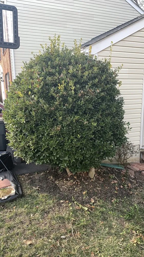 Affordable landscaping services near you across Clifton, VA - Landscaping LRDS