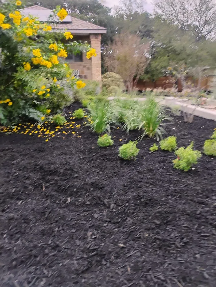 Local residential landscaping for residential properties across Austin, TX - landscaping Luis