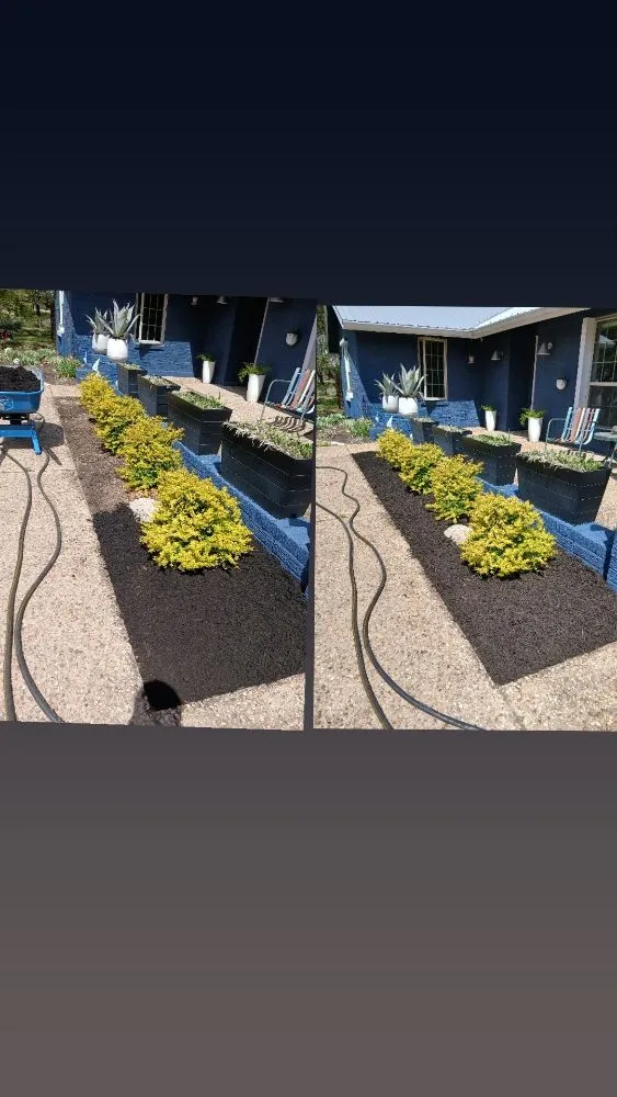 Trusted landscape design near you in Austin, TX by landscaping Luis