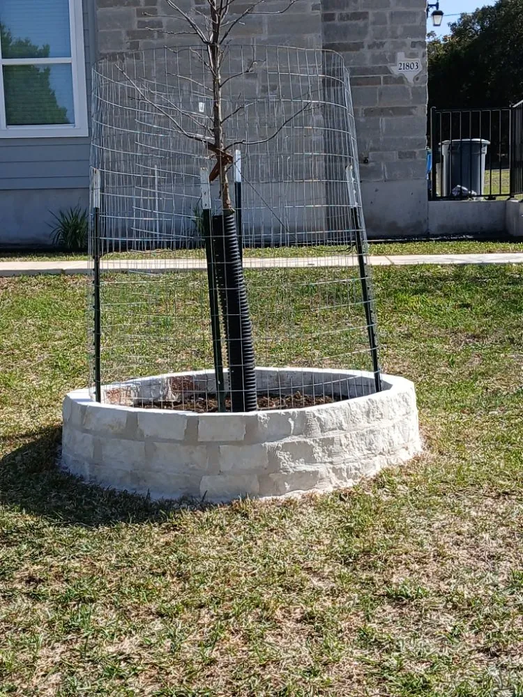 Reliable residential landscaping for outdoor upgrades in Austin, TX by landscaping Luis