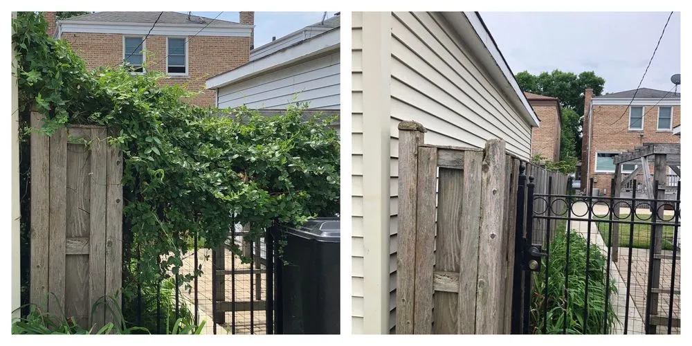 Trusted lawn mowing service experts serving Chicago, IL - Landscaping Maintenance by Moritz Welt