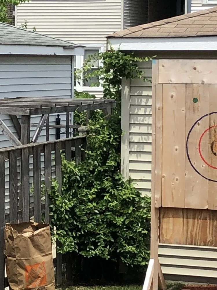 Reliable landscape design experts serving Chicago, IL - Landscaping Maintenance by Moritz Welt