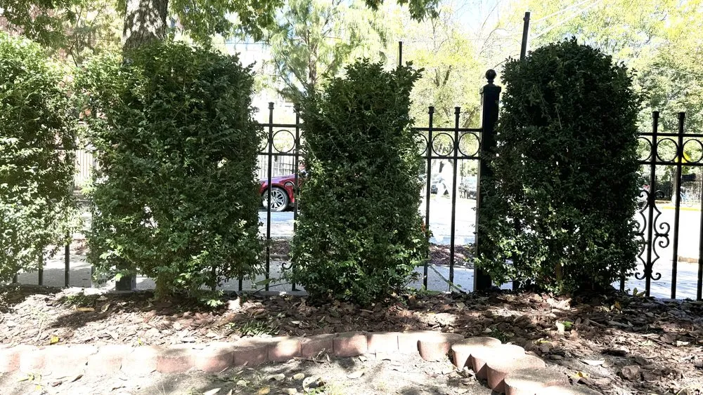 Trusted yard maintenance near you across Chicago, IL - Landscaping Maintenance by Moritz Welt